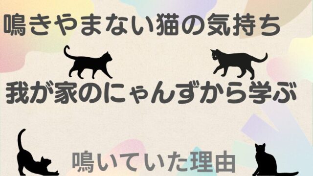 鳴きやまない猫たち