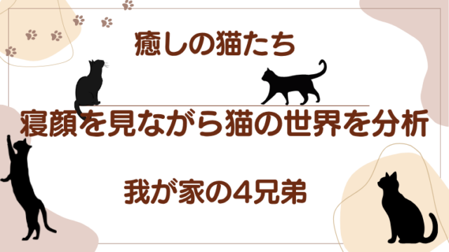 癒しの猫たち
