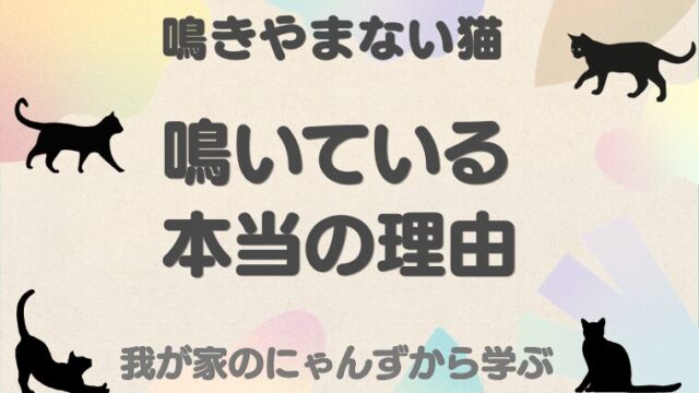 鳴きやまない猫