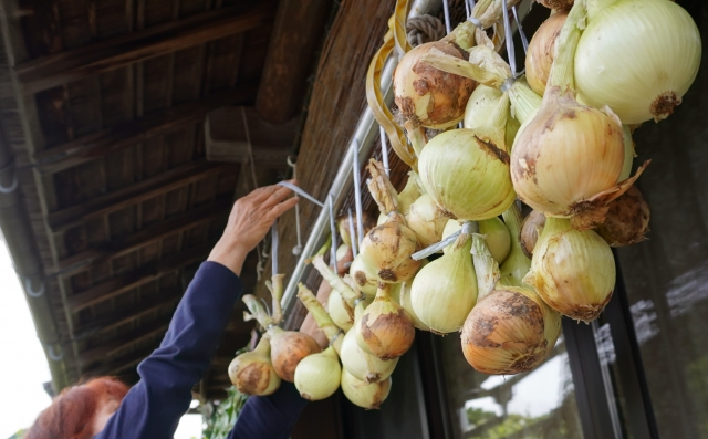 玉ねぎ吊るす